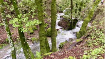 Buck Gulch Falls