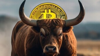 Mistakes I made in the Last Bull Run. Lessons learned