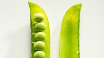 The vegan problem