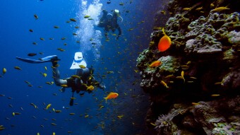 My First Time Under Water- Part Two