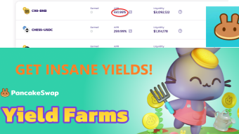 How to Use Pancakeswap for Yield Farming of BNB/ BUSD Pairs or Any Other Pairs