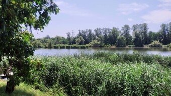 A hot beginning of July, but I don't complain, I like it - My Actifit Report Card: Juls 3 2025