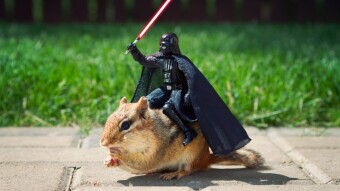 Love It Or Hate It: The Endless Modifications to Star Wars