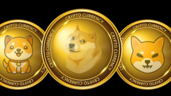 Dogecoin is a meme coin and the people who use it are becoming more and more famous.