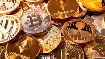 The Different Categories of Crypto You Should Know