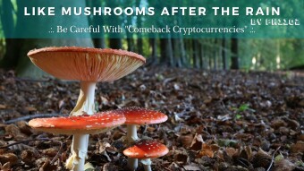 Like Mushrooms After the Rain .:. Be Careful With "Comeback Cryptocurrencies"