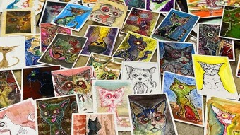 reOpening the Shop