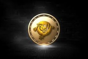 Bitcoin SV is the big winner of the top ten in the market.