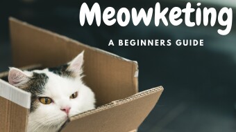 Affiliate Marketing | How to make money with the products and services you use yourself and more