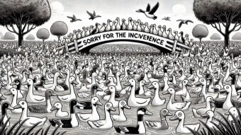Duck Telegram Airdrop