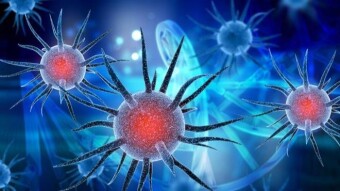 Cryptocurrencies And Human At Risk Of Losing The Fight Against Coronavirus