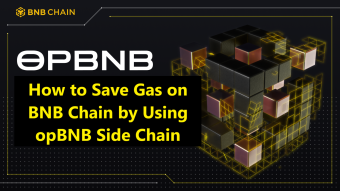 How to Save Gas on BNB Chain by Using opBNB Side Chain