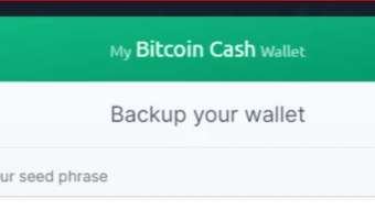 Why I shared My $BCH wallet's Secret Phrase online without any hesitation