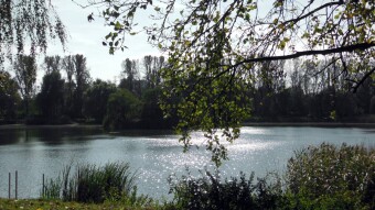 Probably the last warm day this year - My Actifit Report Card: October 3 2023