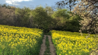 Year 2020 in Photos - April