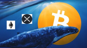 Crypto Whales 101 and How to spot them