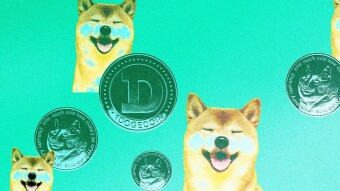 New Dogecoin- dogelon 🚀
