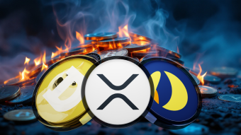 Can Token Burns Trigger A Recovery For The Shiba Inu, LUNC, And XRP Price Again?