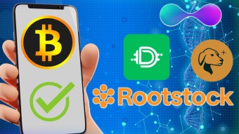 The Best Wallets to interact with Rootstock.