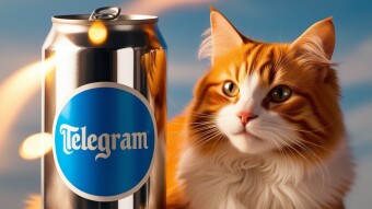 How Much I Finally Earned On Telegram With Rocky Rabbit