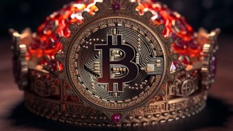 The Coronation of Bitcoin in The Abundance and Excessive Banning Era