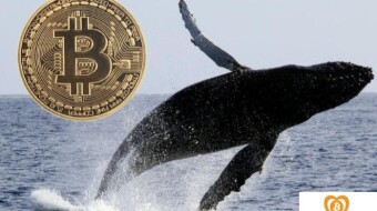 Colossal Transfer Of $ 1,238,000,000 In Bitcoin (BTC) Triggers Crypto Whale Alert