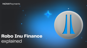 RBIF overview: Robo Inu explained
