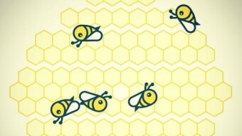 Where There Is Honey There Is Money