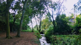 Portugal - Explore new paths in Sta Justa
