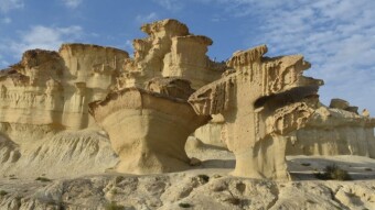 Caprichos de la naturaleza