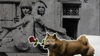 Shiba Inu (SHIB) Jumps 22% to Lead Meme Coin Rally Ahead of Valentine’s Day Event