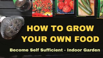 Stay Calm and Grow your own Food ... How to Prepare for a Global Pandemic