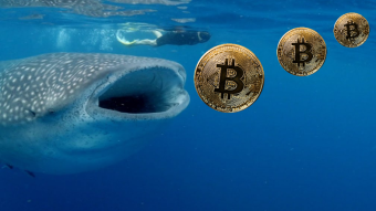 Bitcoin continues to advance despite a slowdown in purchases by ‘Whales’