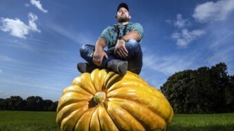 Week 12 — Seasonal Crop Rotation, Same Farming Destination