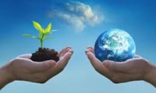 Development at the cost of Environment