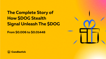 🦮->🐕 The Complete Story of How $DOG Stealth Signal Unleash The $DOG: $1.6M+ profit in just 10 days!