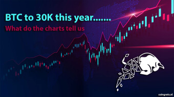 BTC to 30K this year......