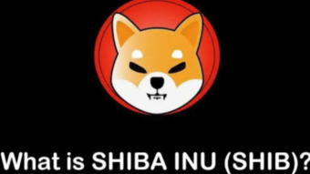 Shiba Inu, Or My Shiba Inu...Two Tokens, Too Confusing...