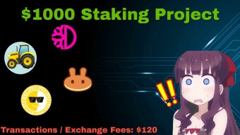 Staking Project 2021 - Rough Start, Learnings and insane Fees