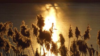 How winter begins and how it ends unusually this year