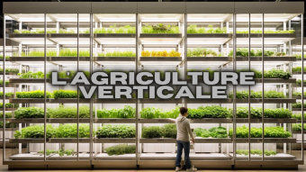 L'Agriculture Verticale : Cultiver Plus avec Moins d'Espace.
