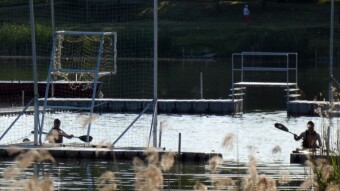 Bike, walk and bird hunting today - My Actifit Report Card: May 31 2023