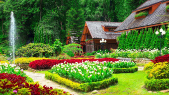 La casa de los aromas 🏡 The house of aromas