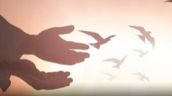 A Plea for Peace