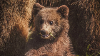 Unexpected result of the analysis of BTC trading volumes: are you ready for a 10-month bearish period?