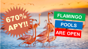 Flamingo Finance Token at 670%APY! | Liquidity Pools Launched | FLM Price Predictions Analysis
