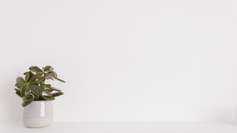 Build a Table in Next.js, Typescript, Tailwindcss, react-table