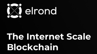 How to stake Elrond
