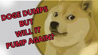 DOGE Dumped,Everything dumped