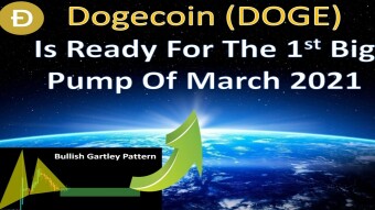Dogecoin (DOGE) Is Ready For The 1st Big Pump Of March 2021
